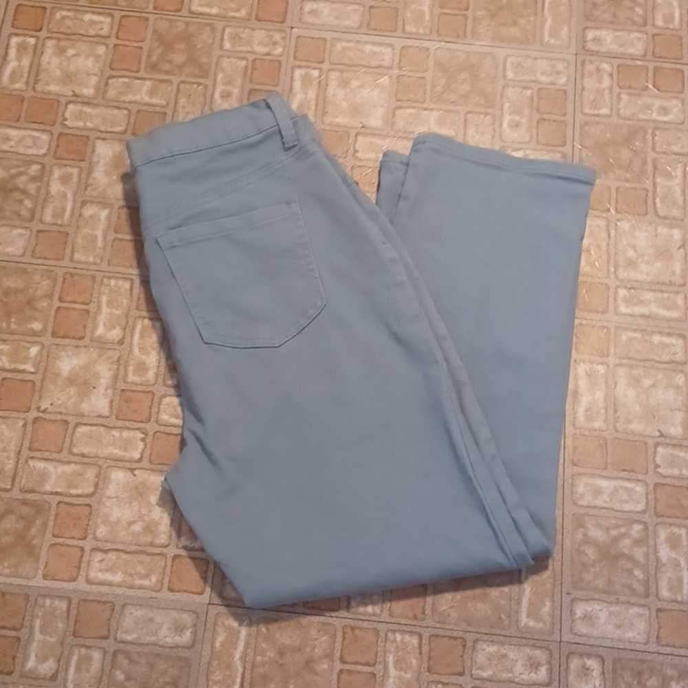Gloria Vanderbilt Amanda Jeans Blue Color Size 12 P COURT